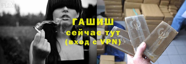 твердый Новозыбков