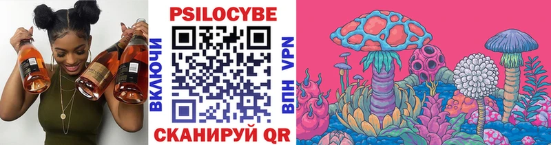 Псилоцибиновые грибы Psilocybe  Томари 